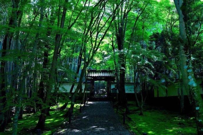 אפרטהוטל Kyoto-Toji House מראה חיצוני תמונה